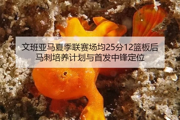 wen-ban-ya-ma-xia-ji-lian-sai-chang-jun-fen-lan-ban-hou-ma-ci-pei-yang-ji-hua-yu-shou-fa-zhong-feng-ding-wei-3-419.jpg